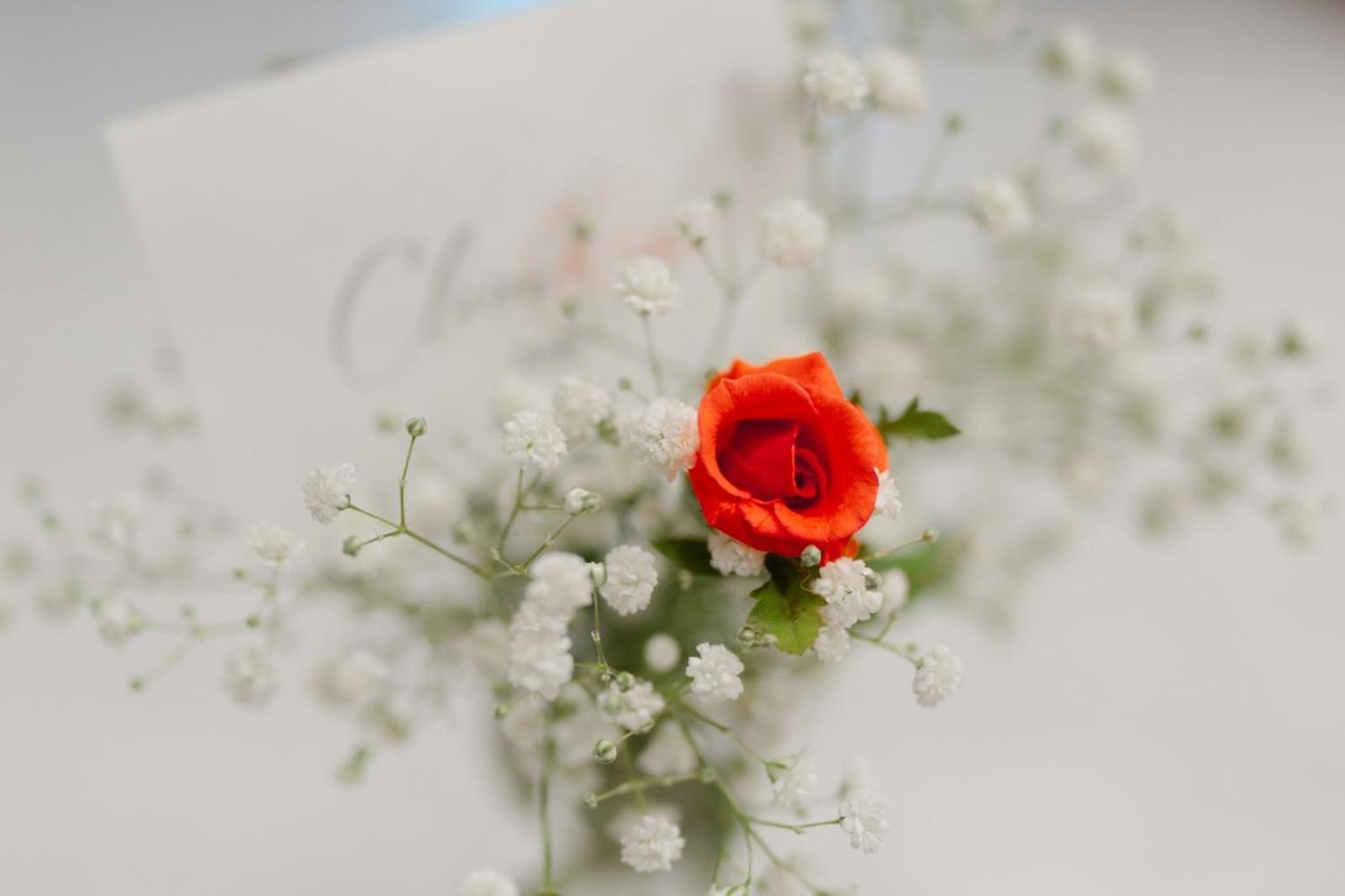 Claire Rose B&B Matera Zewnętrze zdjęcie