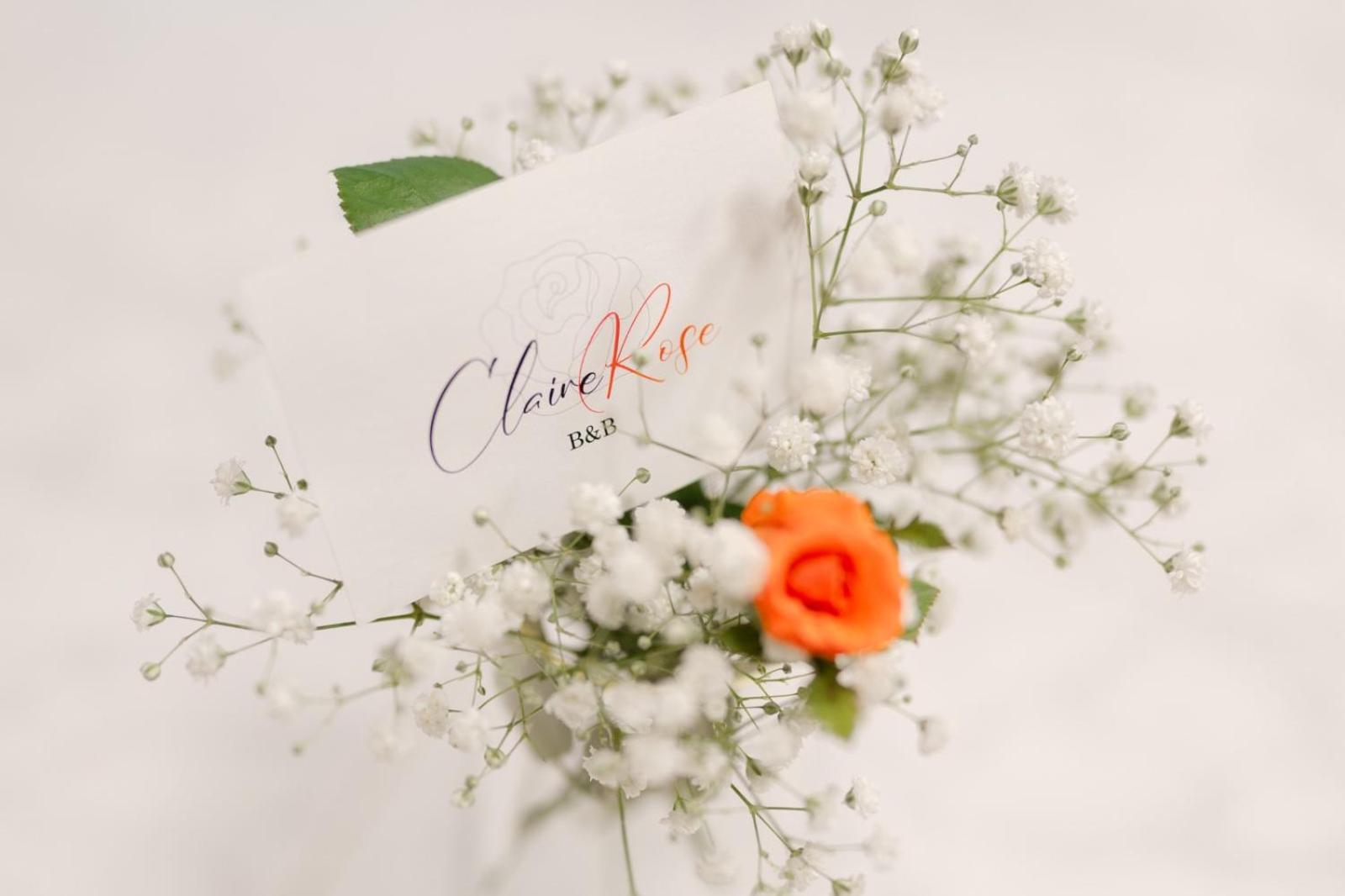 Claire Rose B&B Matera Zewnętrze zdjęcie